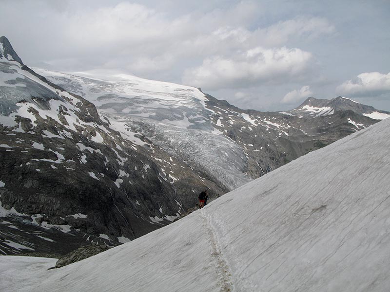 wildenkogel